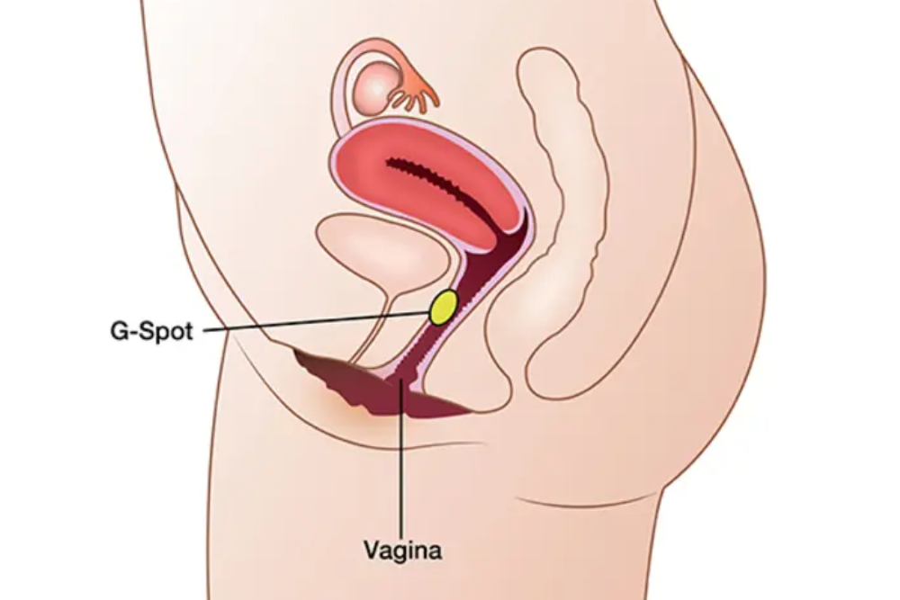 G-spot